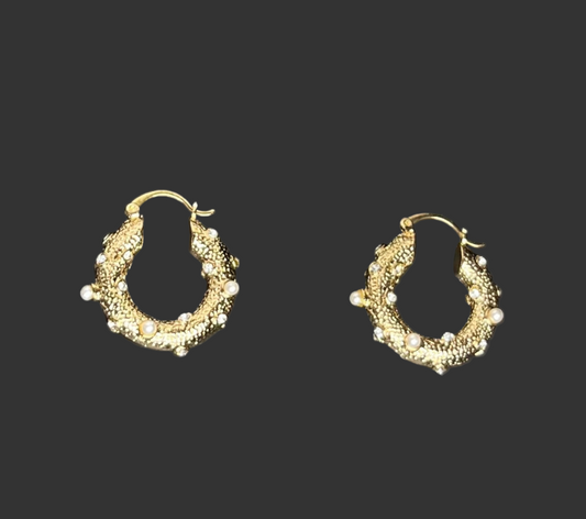 Dani Huggie Hoop earrings