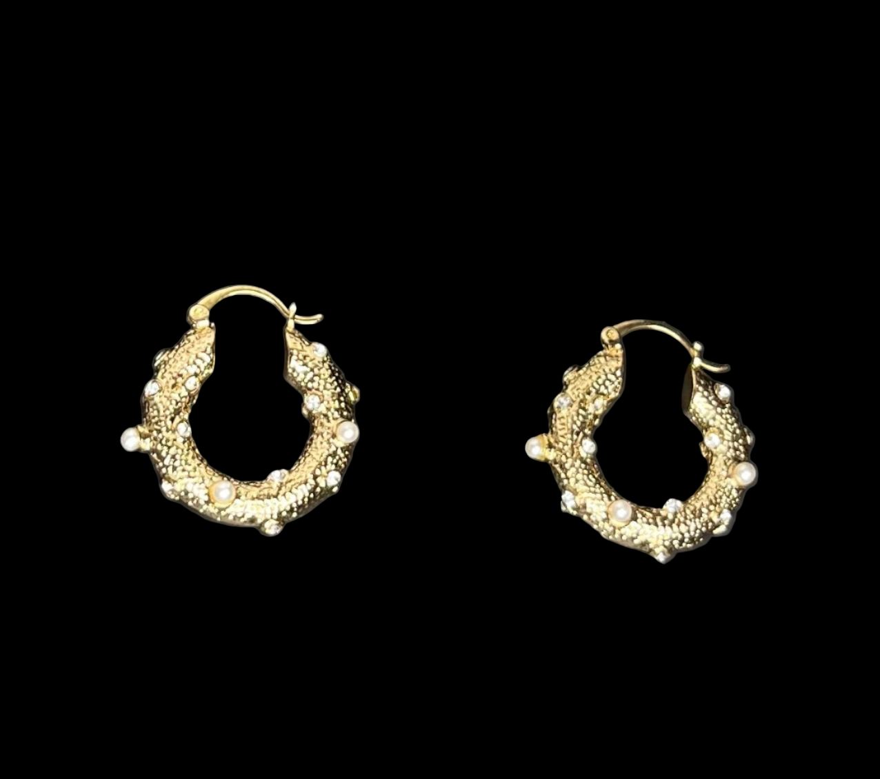 Dani Huggie Hoop earrings