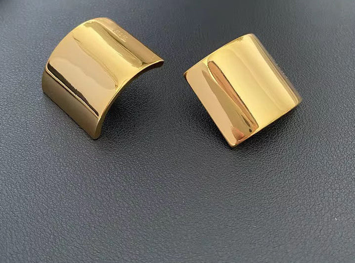 Dayna Curved earrings